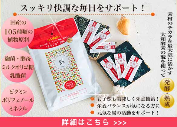 発酵食品「熟-JUKU-」
