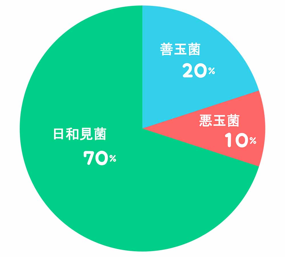 グラフ「腸内フローラの理想的なバランス」