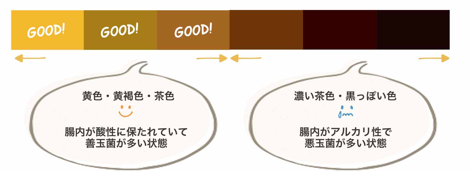 腸内環境をうんちでチェック！