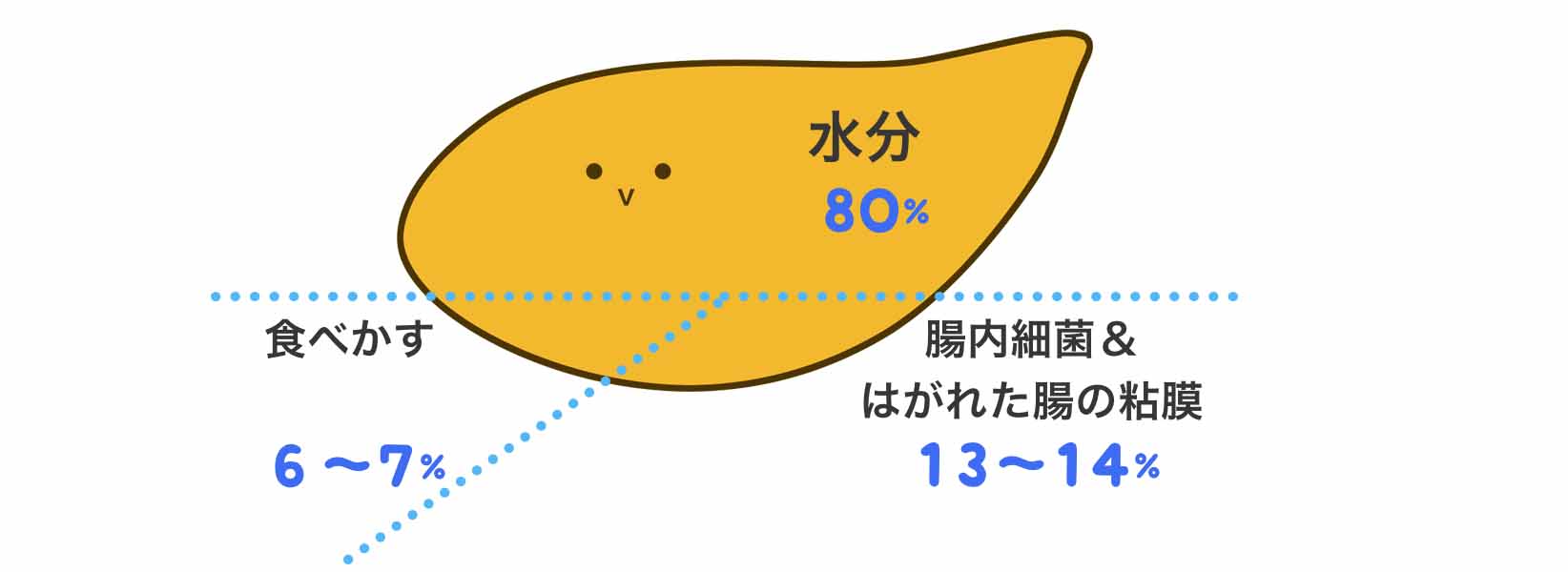 理想的な便（うんち）の構成画像
