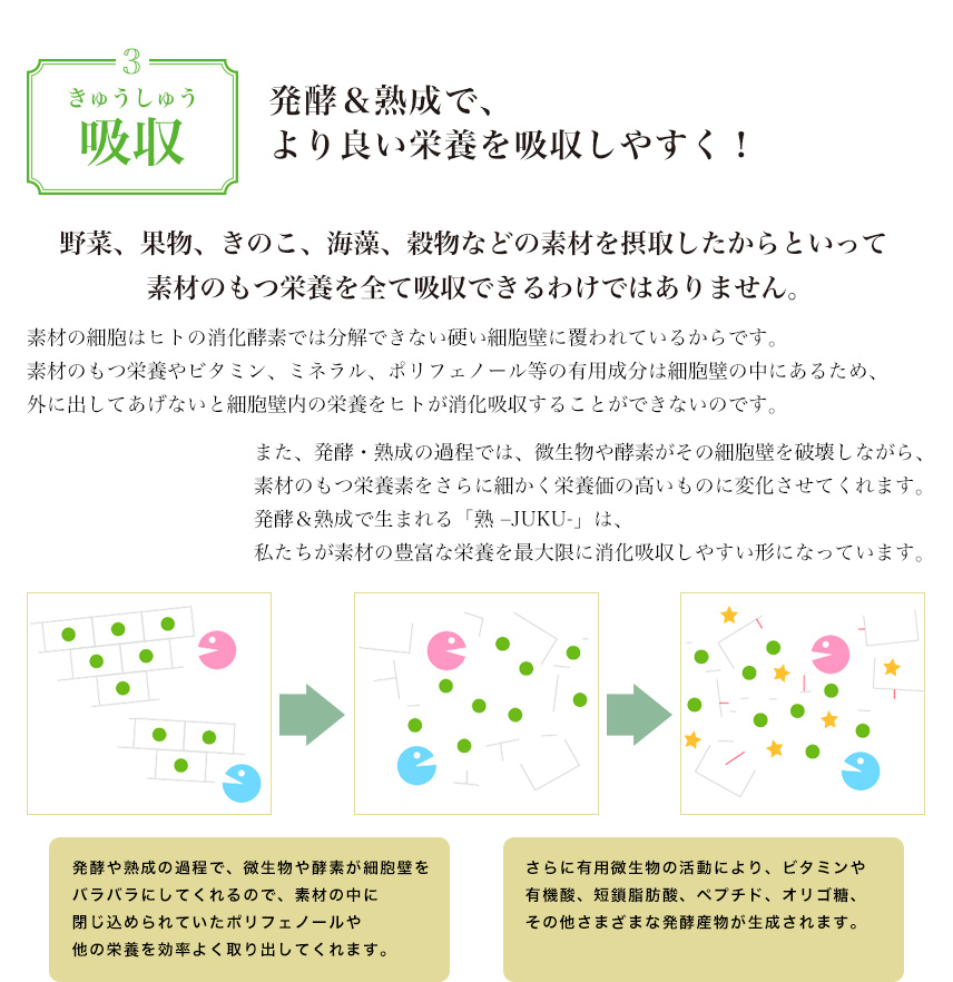 素材3:発酵&熟成で、より良い栄養を吸収しやくす!